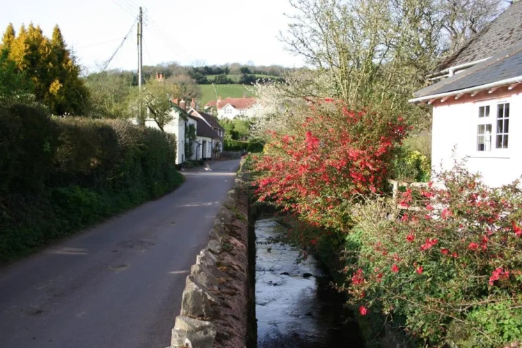 Cottage