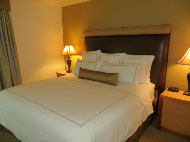 1 Bedroom Suite