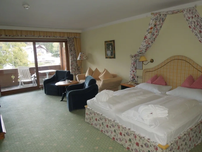Superior Double room with balcony and with mountain view