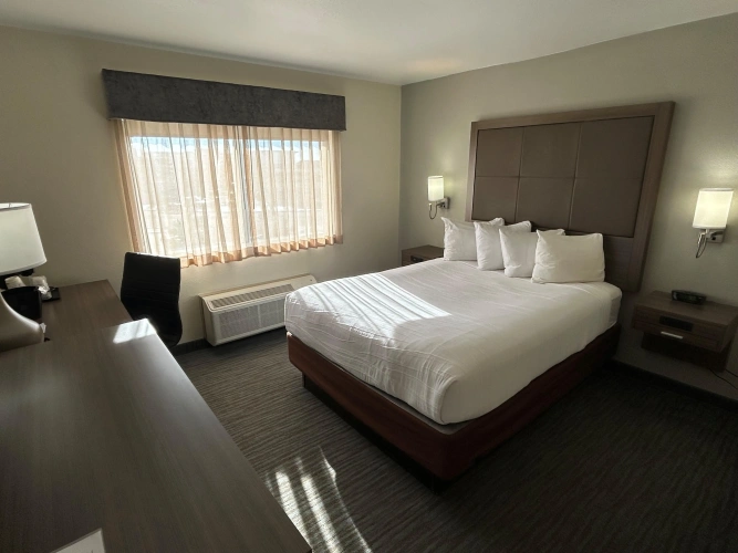 Standard Double room