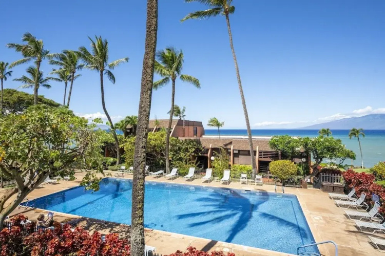 Kuleana 310