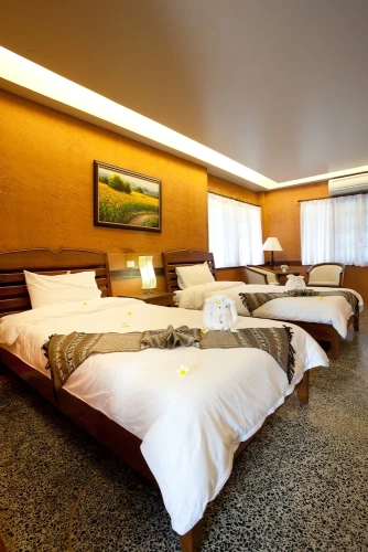 Executive Twin room