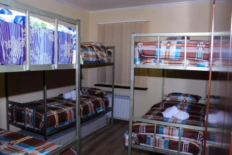 Bee Lucky Hostel and Tours