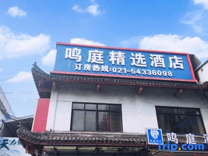 Shanghai Featured Hotel