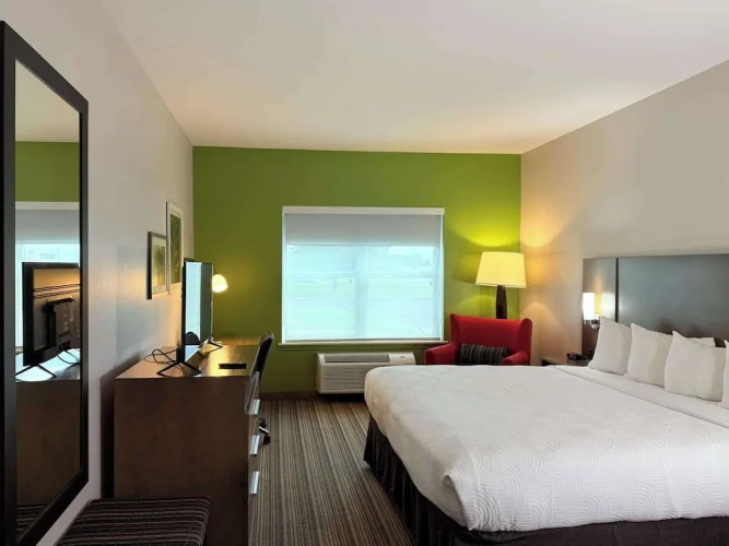 Standard Double room