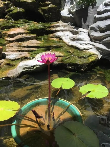 Xuan Mai Villa