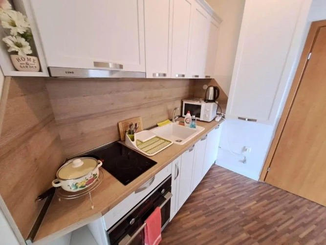 1 Bedroom Apartment with balcony and with view