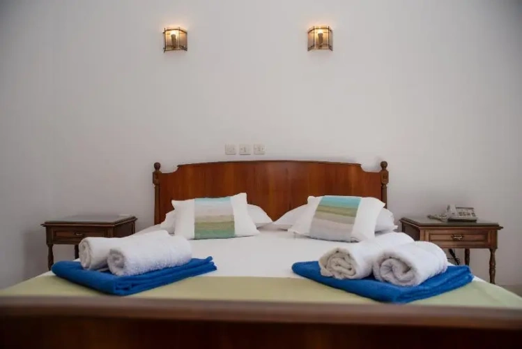 Standard Double room with balcony and with garden view