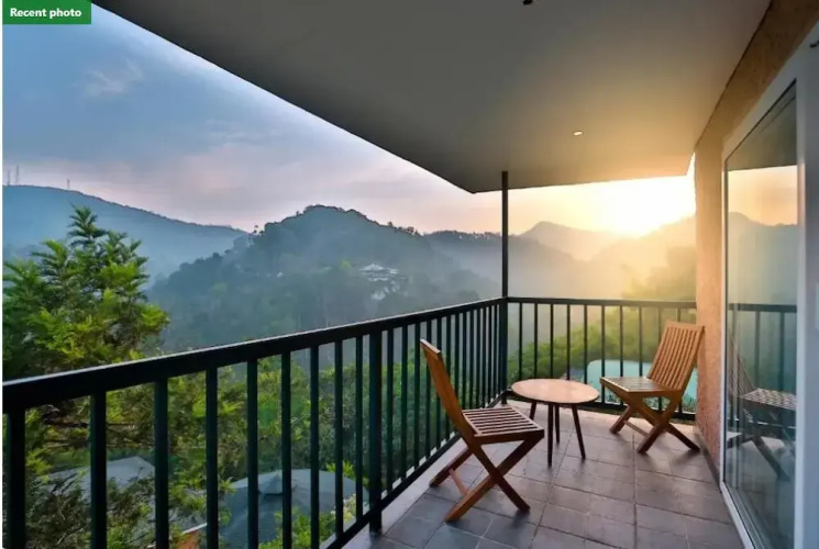 The Violet Thekkady