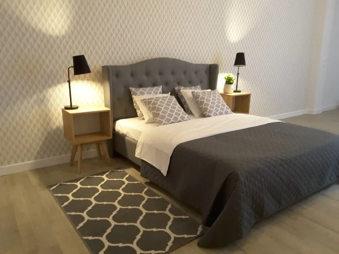 1 Bedroom Basement Apartment