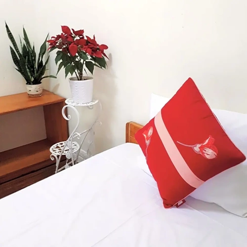 Standard Double room with balcony and with view