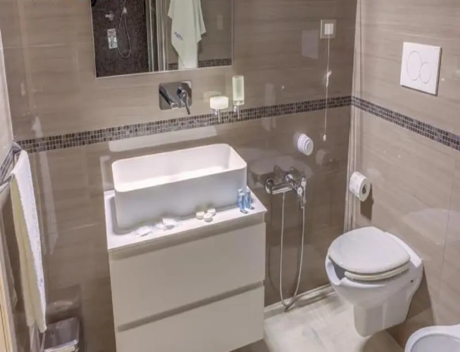 Standard Double room with balcony and with garden view