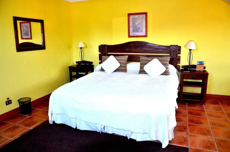 Apart Hotel del Volcán
