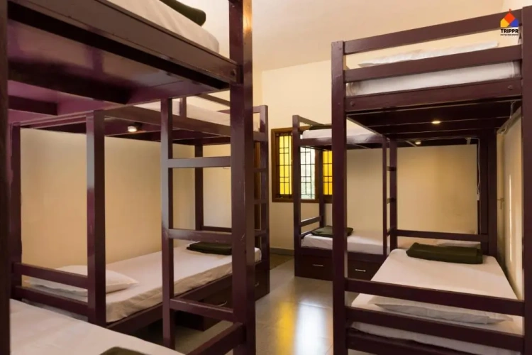 Bed in Dorm