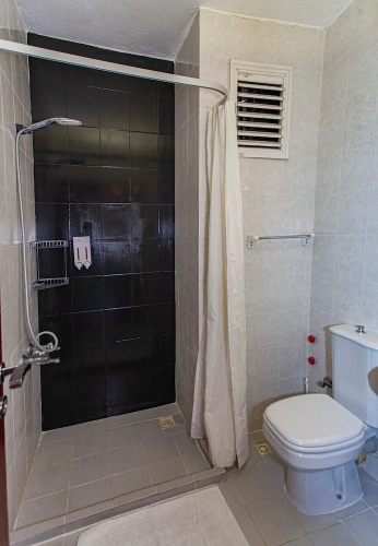 Classic Apartment