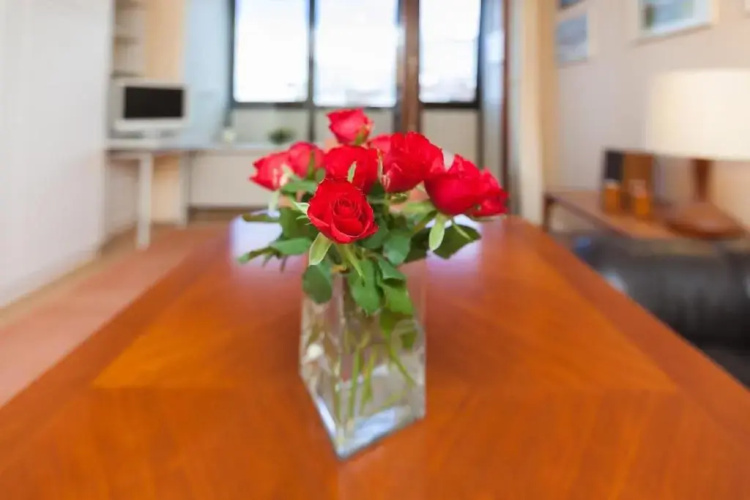 Appartement-Makrele