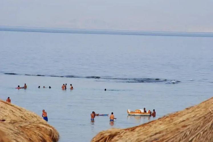 New Moon Island Camp