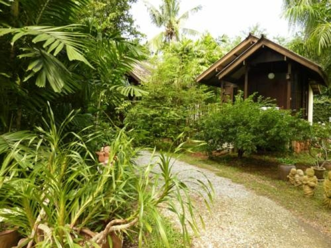 Lotus Village