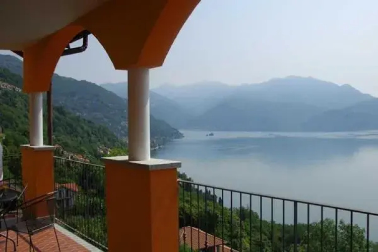 Il Vigneto