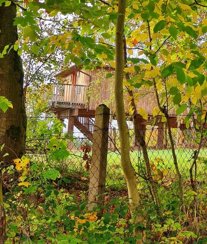 Comfort Cottage