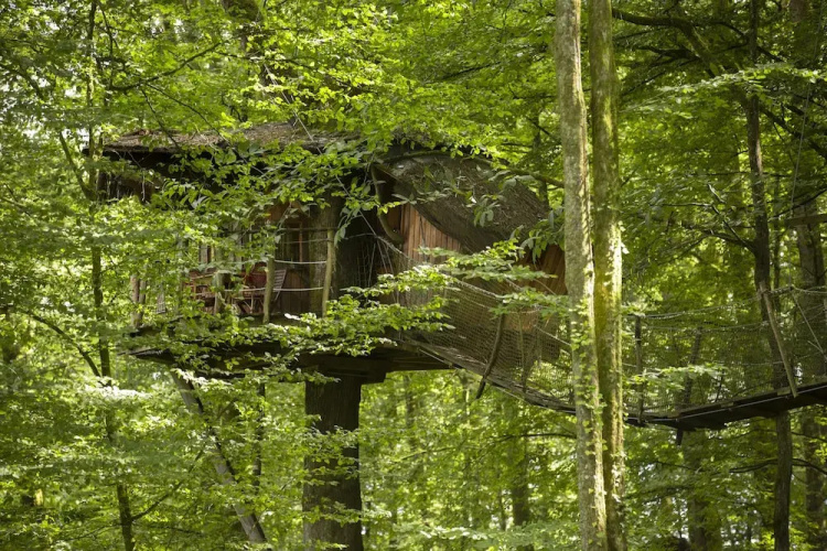 L'Arbre à Cabane