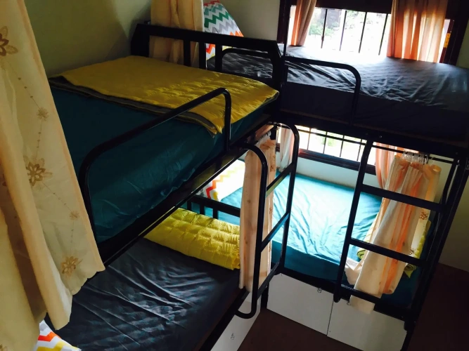 Bed in Dorm