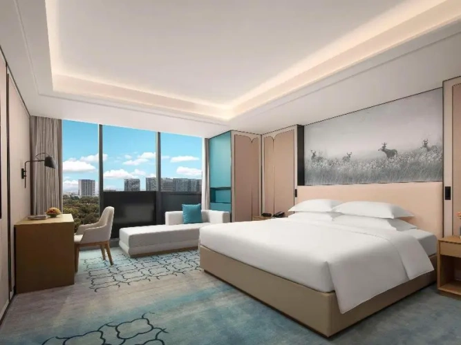 Superior Double Club Suite