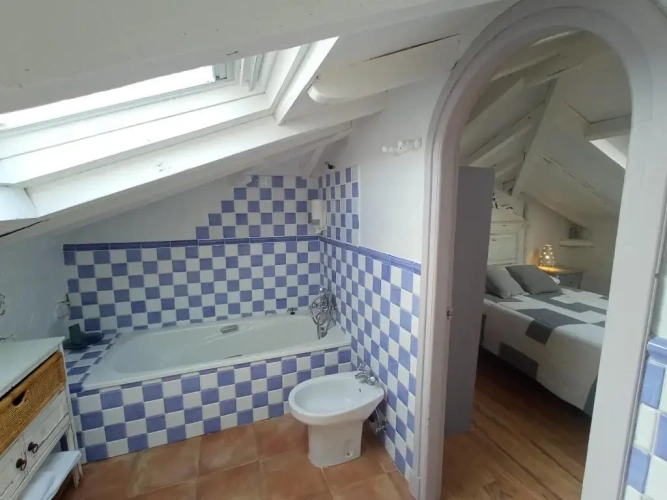 Standard Penthouse room