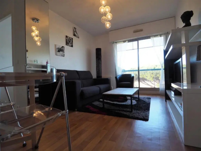 Appartement Arcachon, 2 pièces, 4 personnes - FR-1-474-32