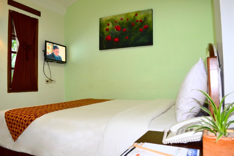 Superior Double room with view