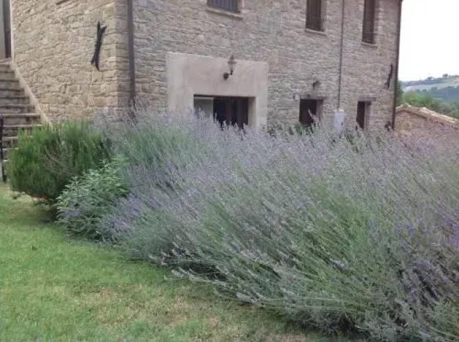 B&B Mulino Barchio
