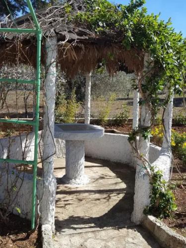 Trulli Asia