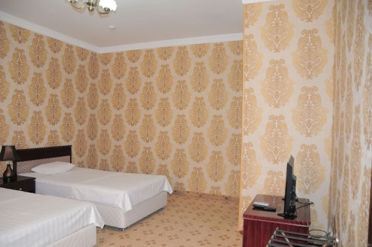 Standard Twin room with view