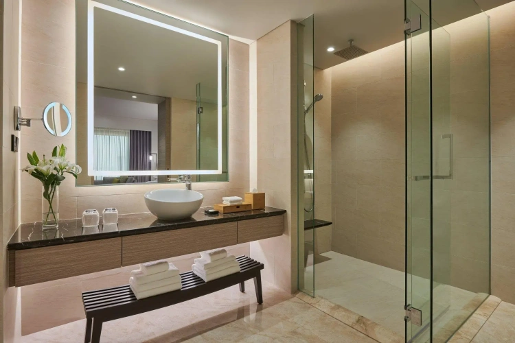1 Bedroom Double Suite with city view