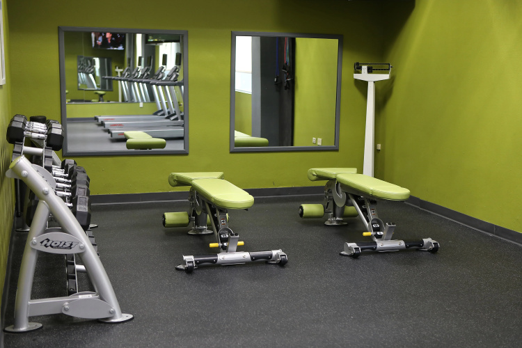 Holiday Inn Chicago Ohare Area photo 25