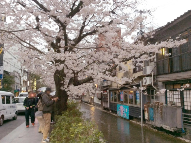 Kyoto Happy Family(福家旅館)