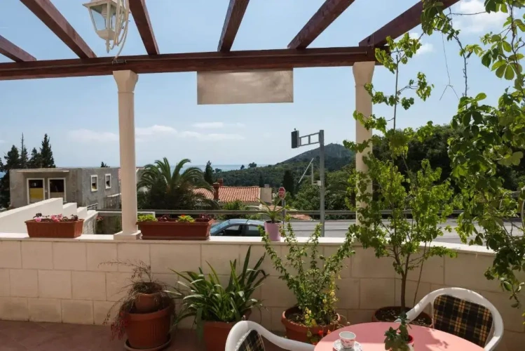 1 Bedroom Comfort Apartment