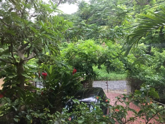 Standard Double room with garden view