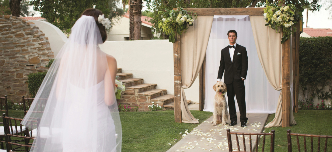 La Quinta Resort & Club, Curio Collection by Hilton photo 27