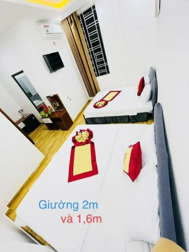 Double Family Suite