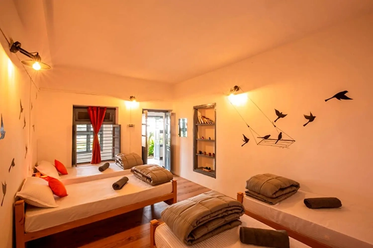 Quadruple Suite