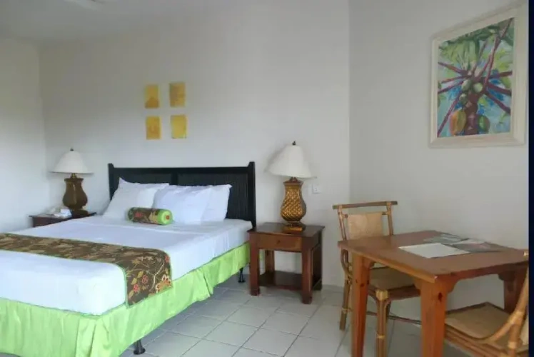 Superior Single room with balcony and with garden view