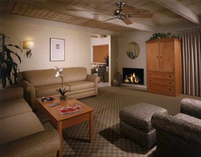 1 Bedroom Suite