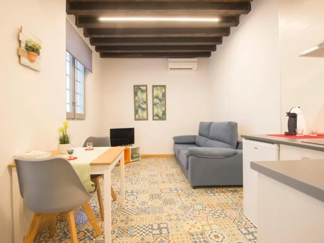 Duplex Apartment
