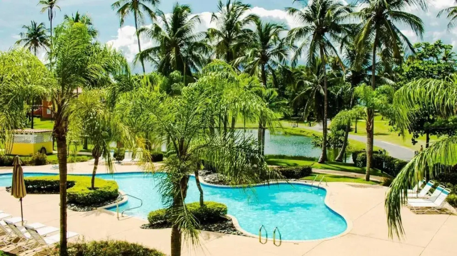 La Palmita
