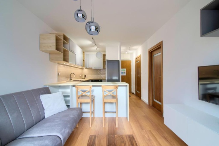 1 Bedroom Apartment