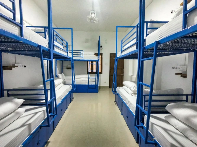 Bed in Dorm