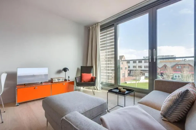 Deluxe Apartment