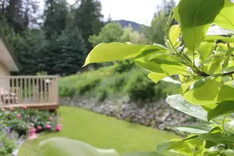 Revelstoke Mountain Guesthouse