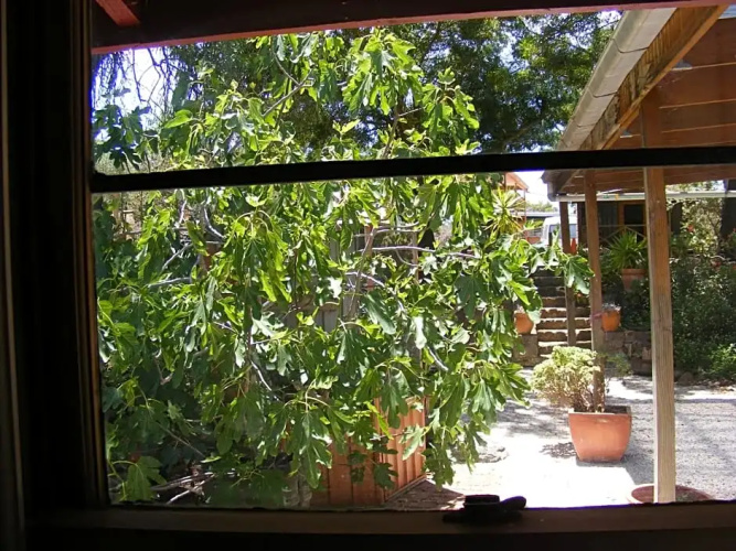 Trevalia Accommodation